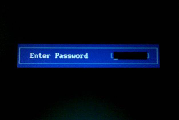 input bios password